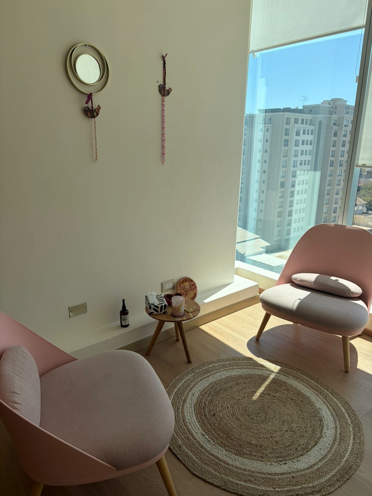 Suculentas pequeñas en macetas de barro