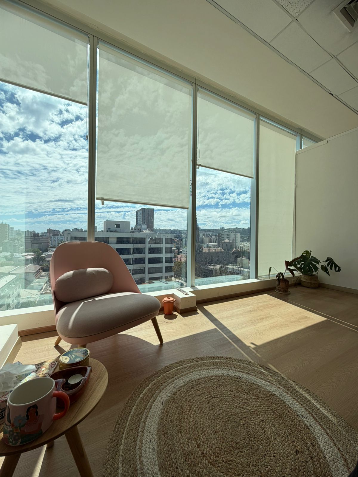 Plantas tropicales de interior exuberantes