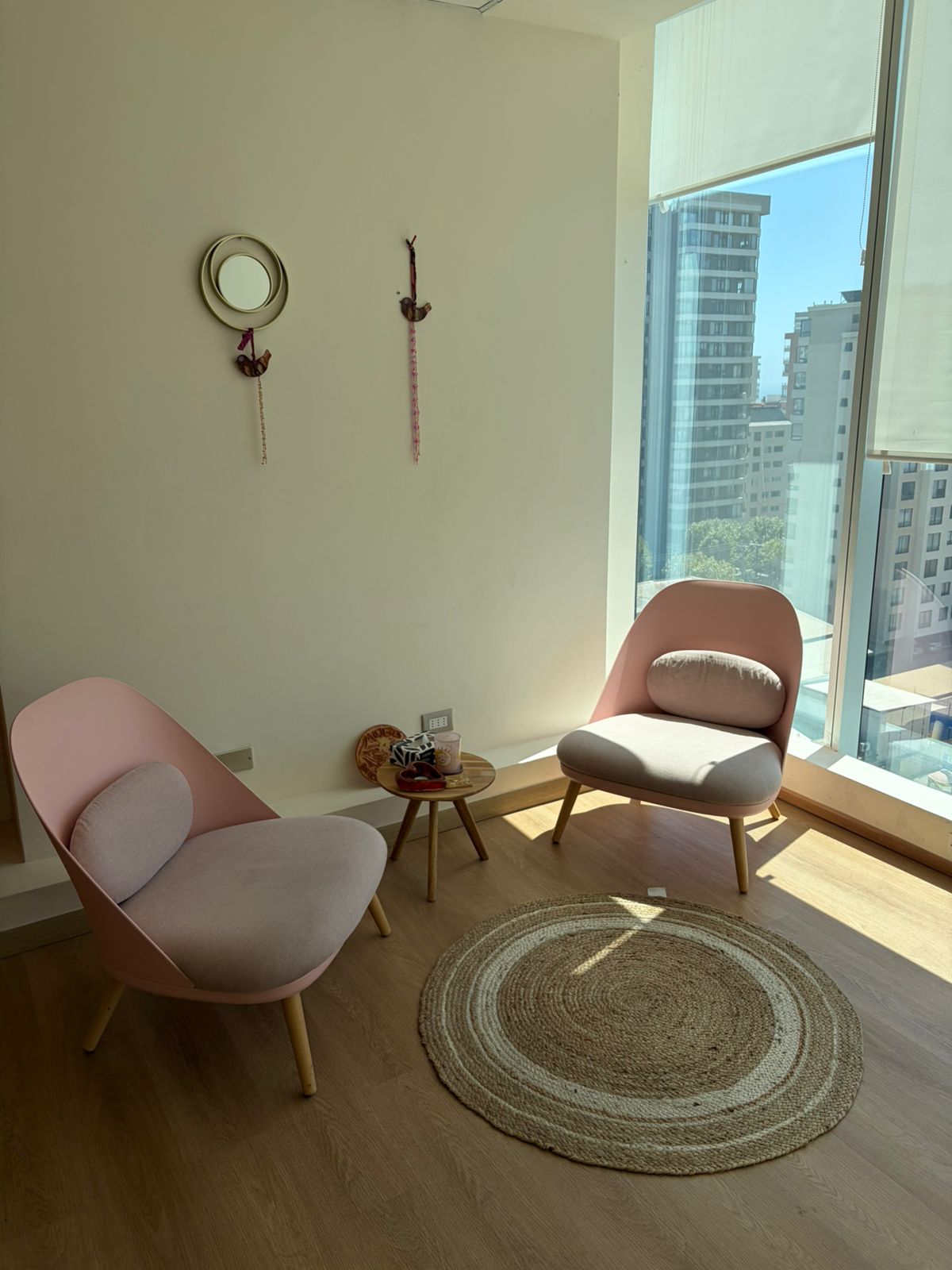 Colección de suculentas coloridas