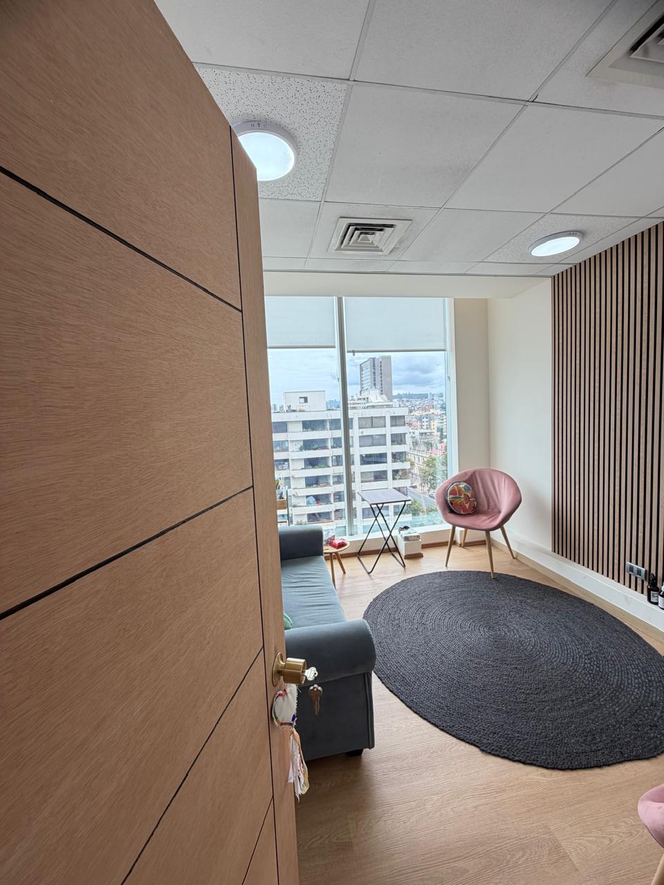 Monstera deliciosa con luz natural